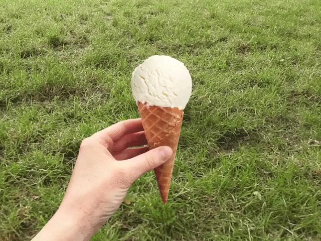 现实中还原菜狗表情包,菜狗表情包gif高清