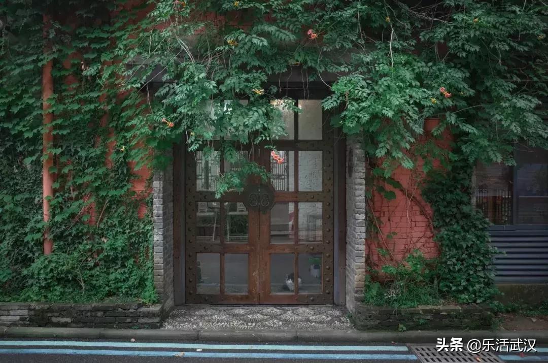 原来武汉有这么多好玩的打卡地,武汉周边新晋7大网红打卡地