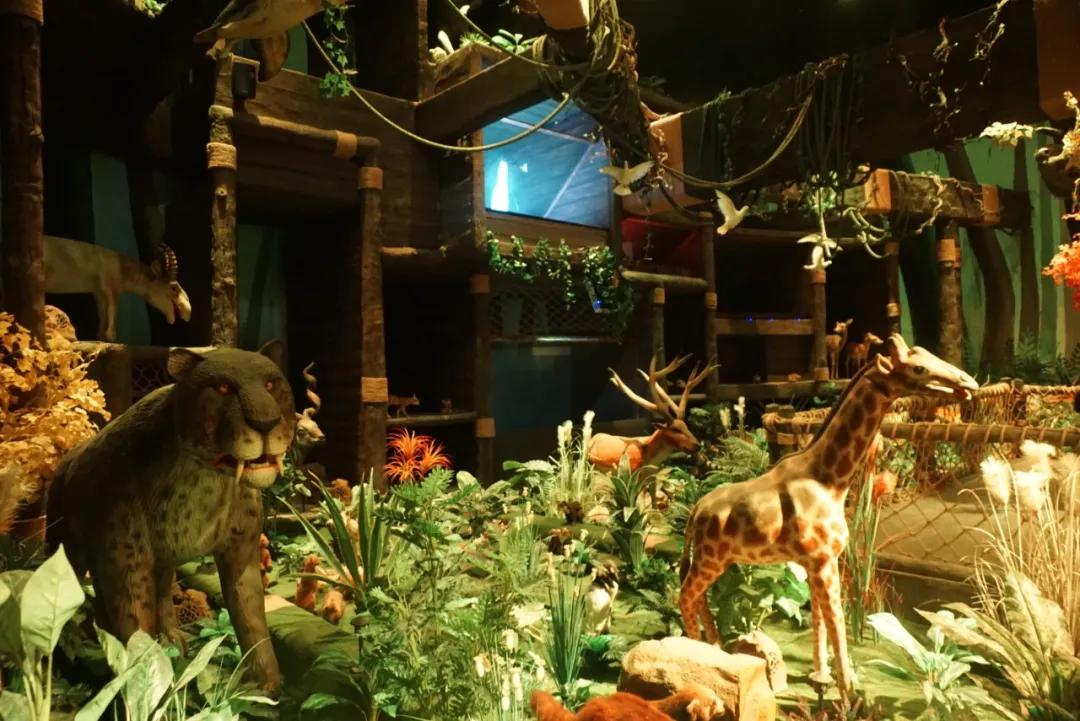 占地30000㎡！这艘建在安华汇天台上的巨船，竟是亲子乐园