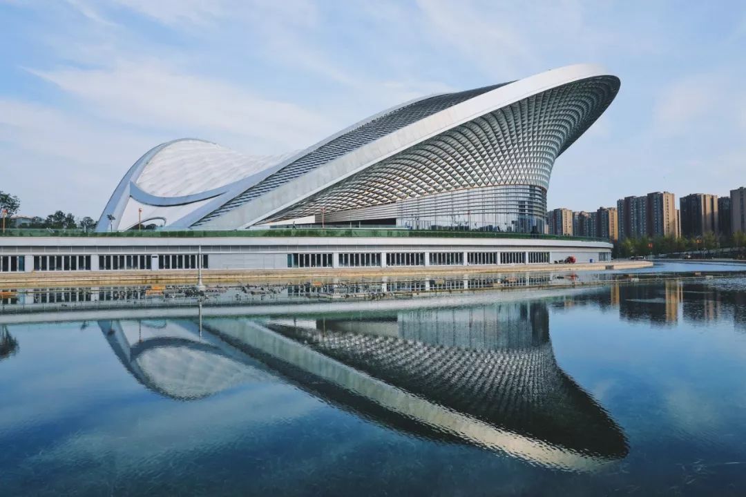 成都周末遛娃游推荐,遛狗公园成都