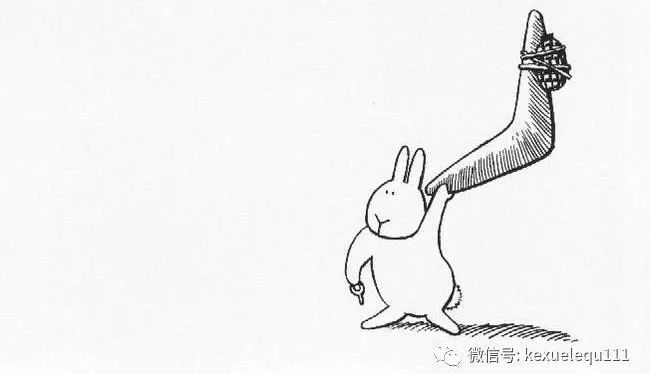 杀死兔子的方法,杀死兔子有什么后果