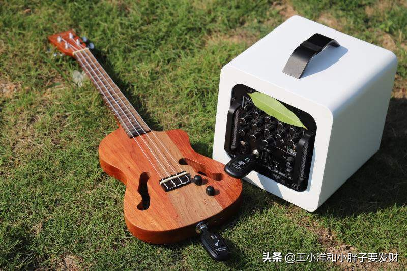 怎样选一把好的尤克里里,十大入门级尤克里里推荐