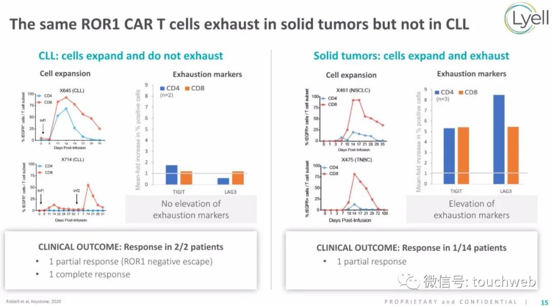 肿瘤免疫治疗公司Lyell冲刺美股：年亏2亿美元路演PPT曝光