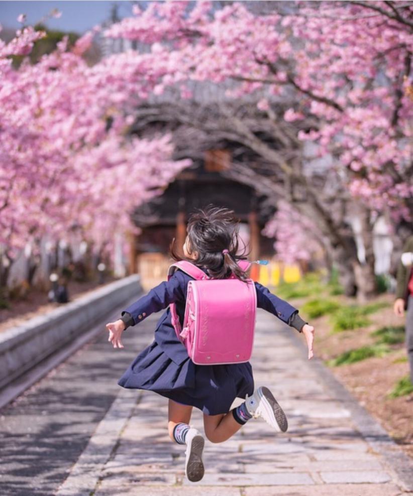 是心动啊，樱樱樱樱樱樱樱樱樱