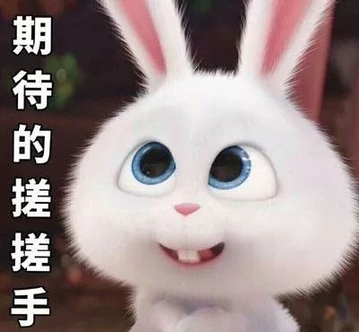 母兔第一窝生了3个小兔正常吗,母兔生了窝小兔