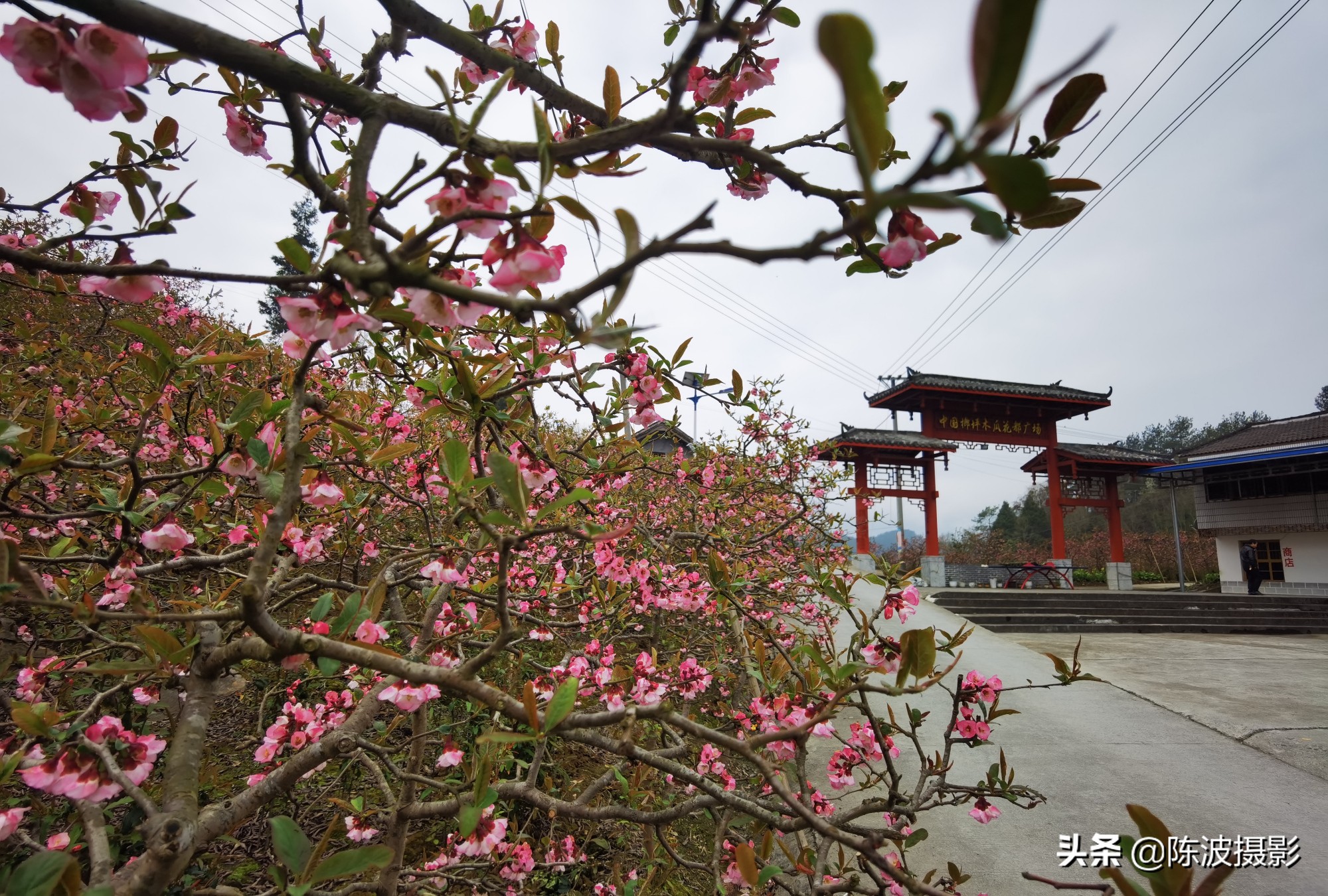 赞美湖北省三峡风景的诗词七绝,旅游三峡诗七绝