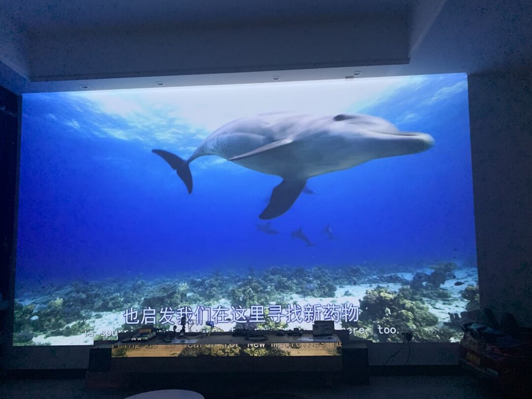 浼樻淳q10q30,浼樻淳q10濡備綍璁剧疆