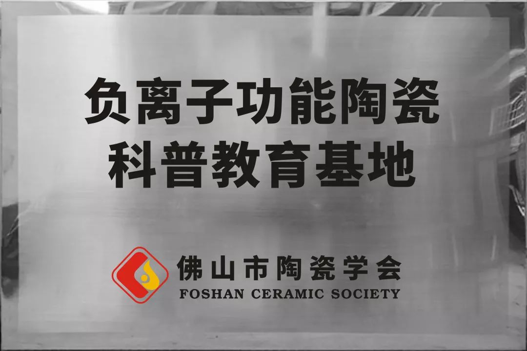 特地陶瓷负离子砖价格,特地负离子陶瓷怎么样