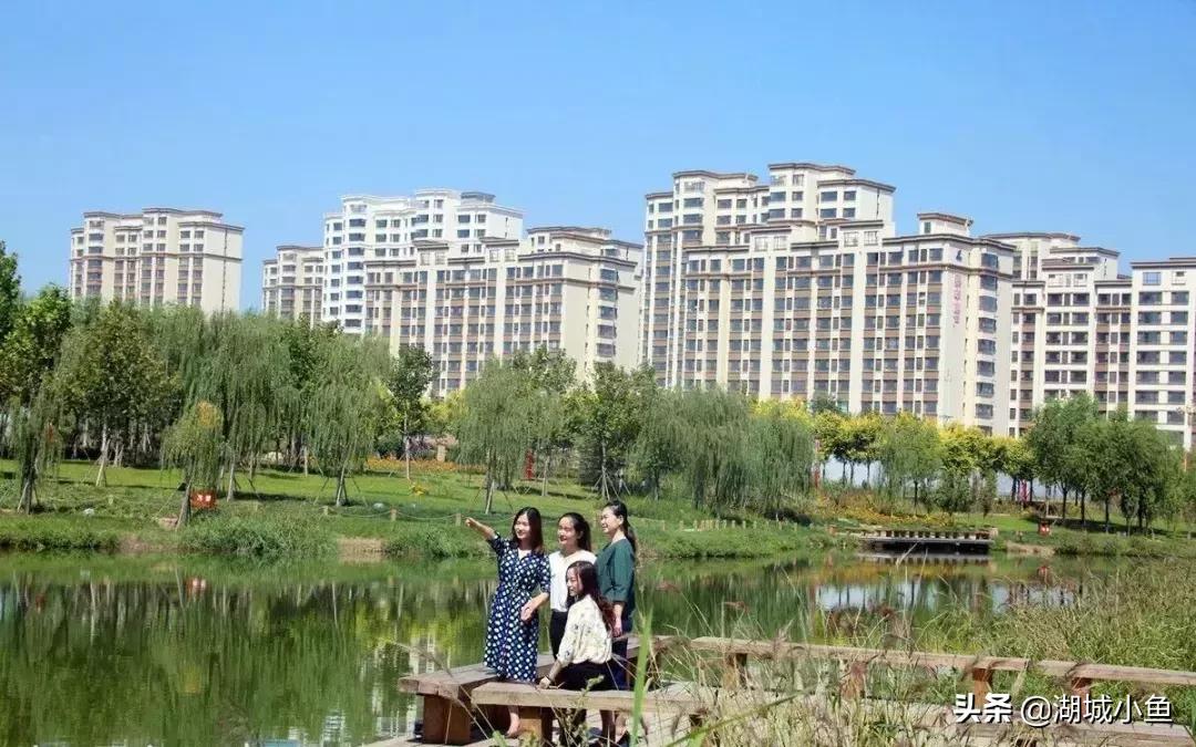 我叫枣强!这是我的最新简历