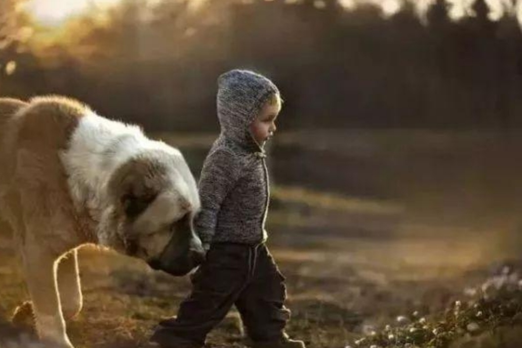 身教胜于言教下一句是啥,要懂得身教胜于言教