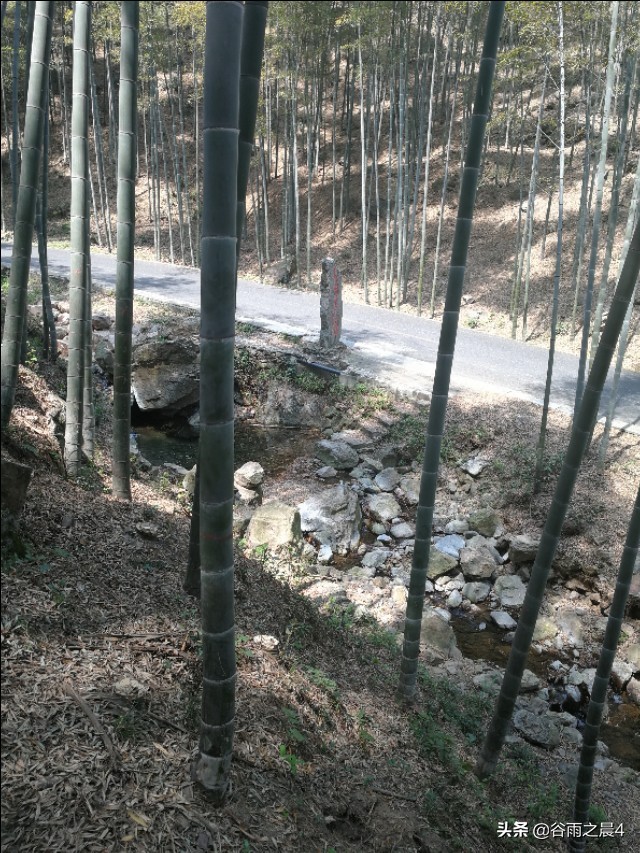 宜兴竹海徒步路线推荐,宜兴竹海最高海拔多少