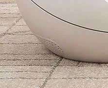 小佩闷死猫事件,小佩猫窝闷死猫