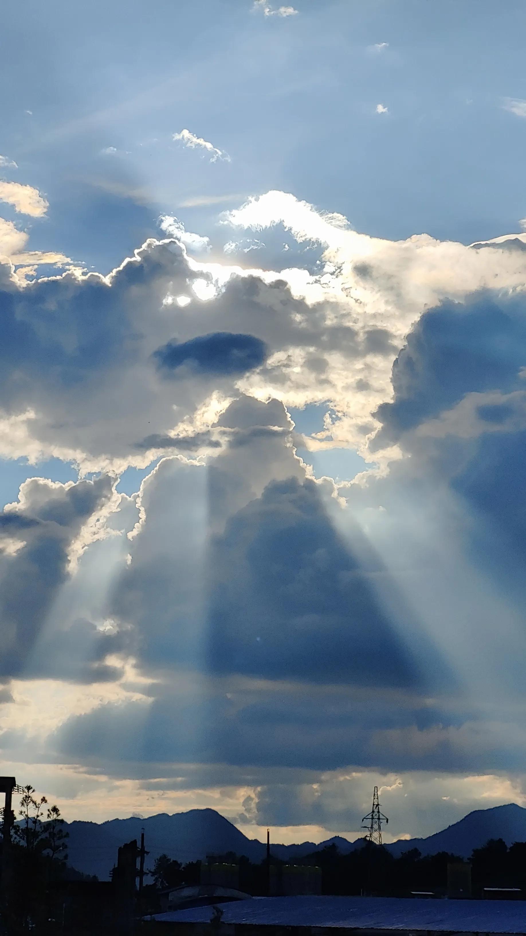 曼珠沙华有毒吗可以治吗 (曼珠沙华真的有这么多颜色吗)