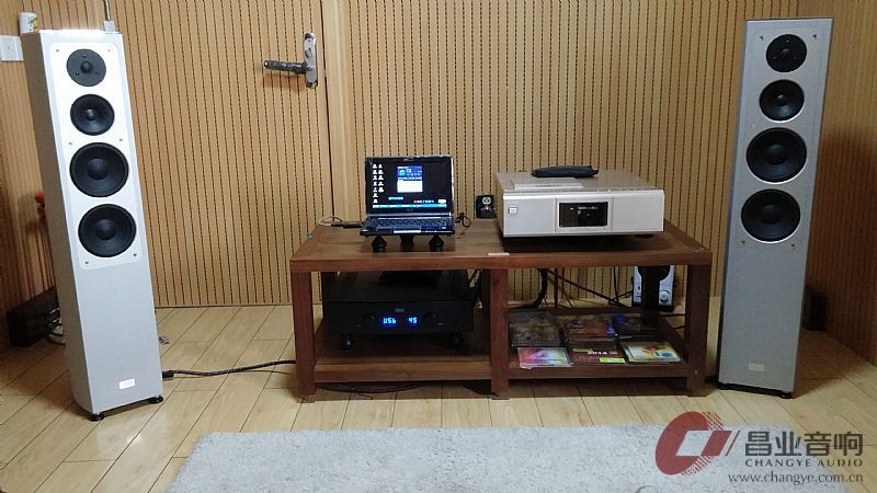 hegelh160功放,欢乐总是转瞬即逝