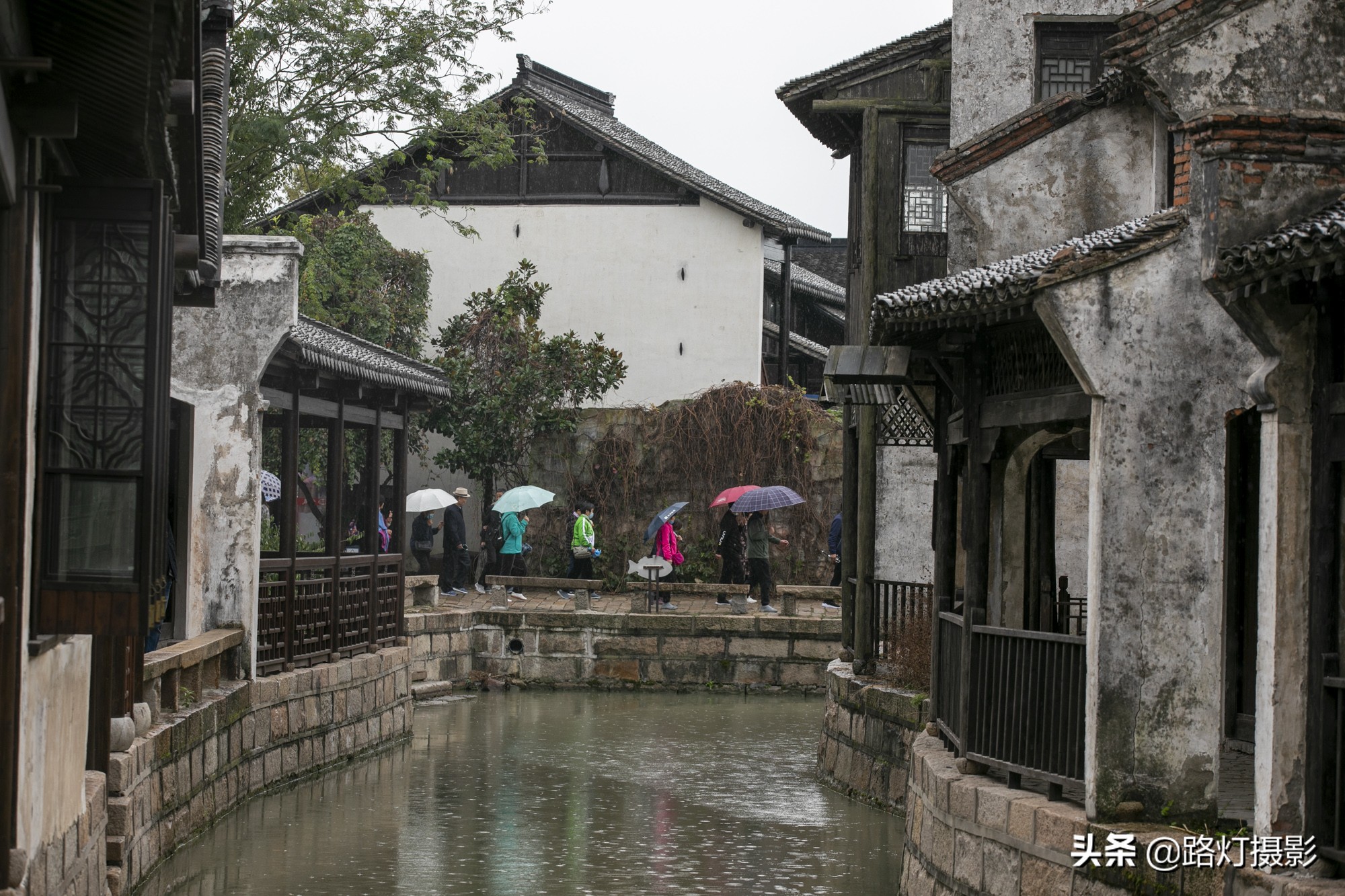 沙家浜秋色,沙家浜秋天芦苇荡