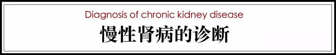 猫病视频,猫肾脏病视频大全