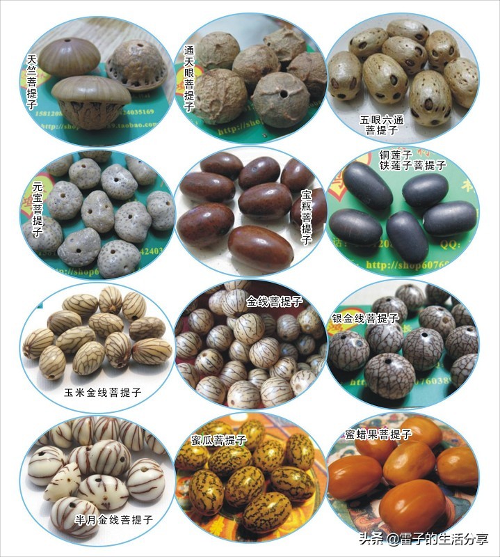 菩提子配饰翡翠,菩提子蜜蜡配饰图