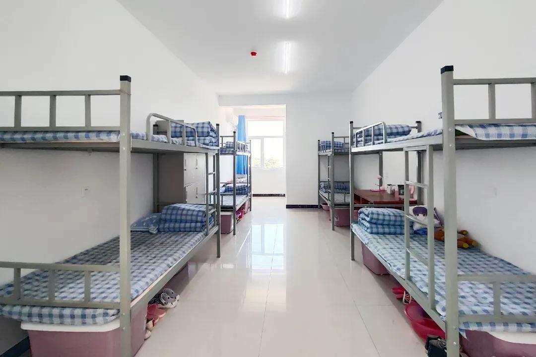 石家庄金石学校官网,欢迎报考石家庄金石中学