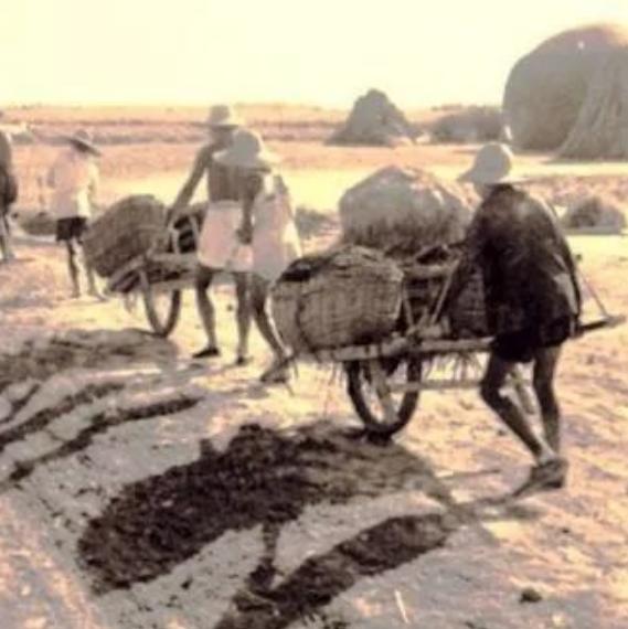 怎么学会胯部发力,摆胯扭胯练习基本功入门