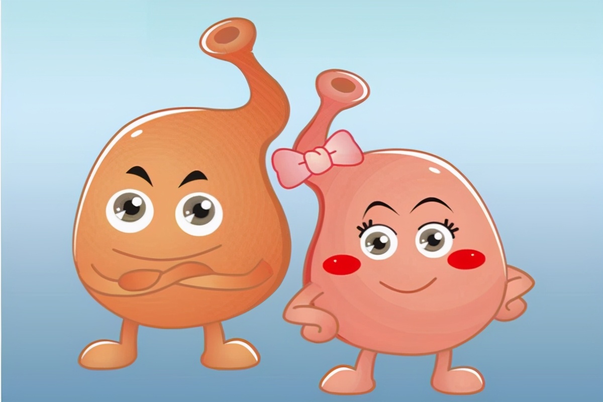 缺铁性贫血怎么补铁效果最好,缺铁性贫血最佳补铁方法