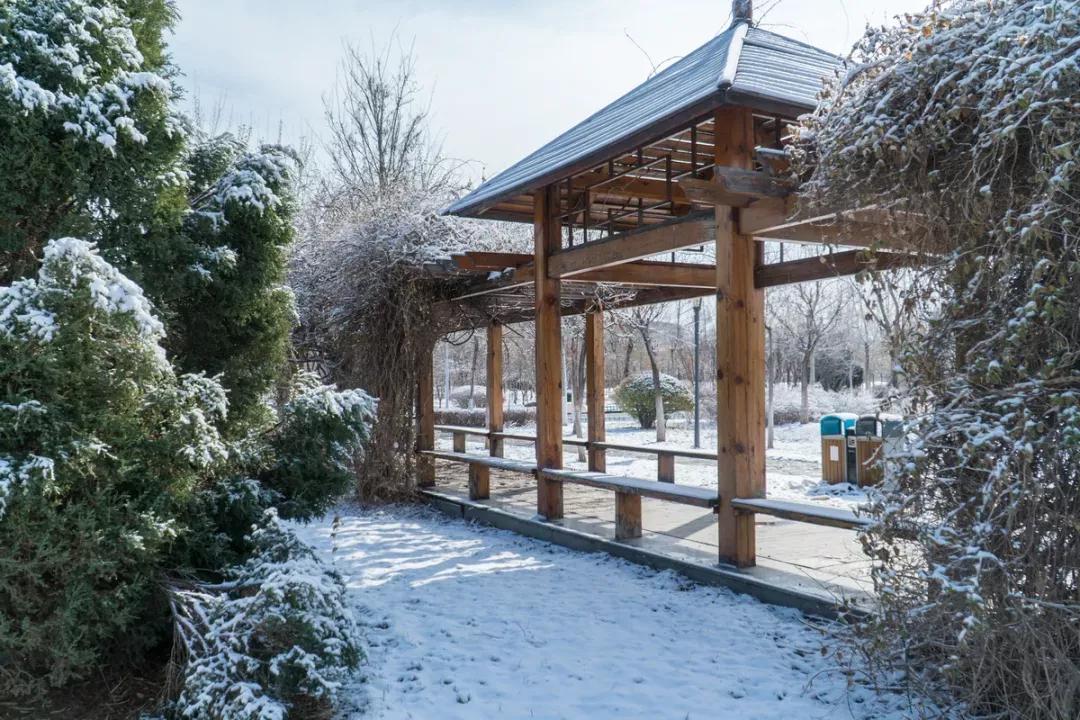 天津公办3+2本科学校有哪些,天津市专升本天津师范大学