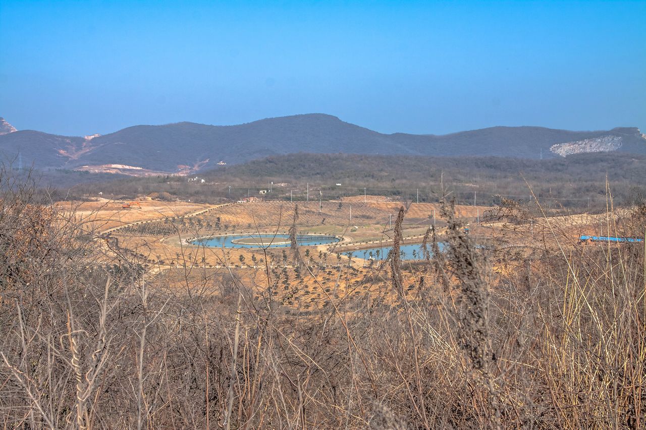 荒山怎么开荒最快最好,开垦荒山最快的方法