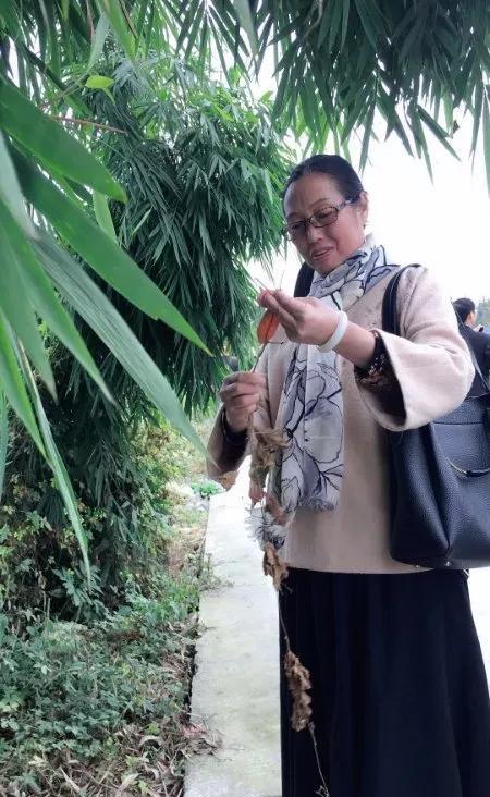 垂钓都江堰桃花岛,都江堰桃花岛