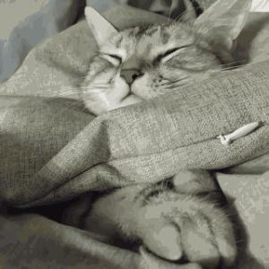 天又双叒冷了！娃的帽子、围巾、袜子等这样买，安全、科学又省钱