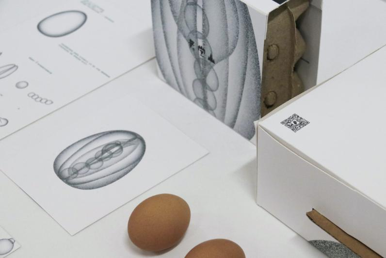 创意鸡蛋礼品盒包装设计,100个经典鸡蛋包装设计