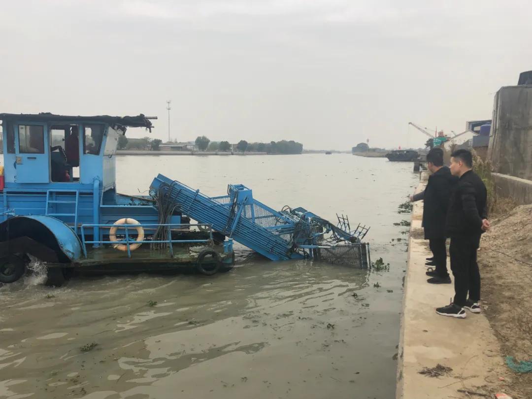 南浔区治水办、水利局开展水葫芦集中打捞行动联合督查