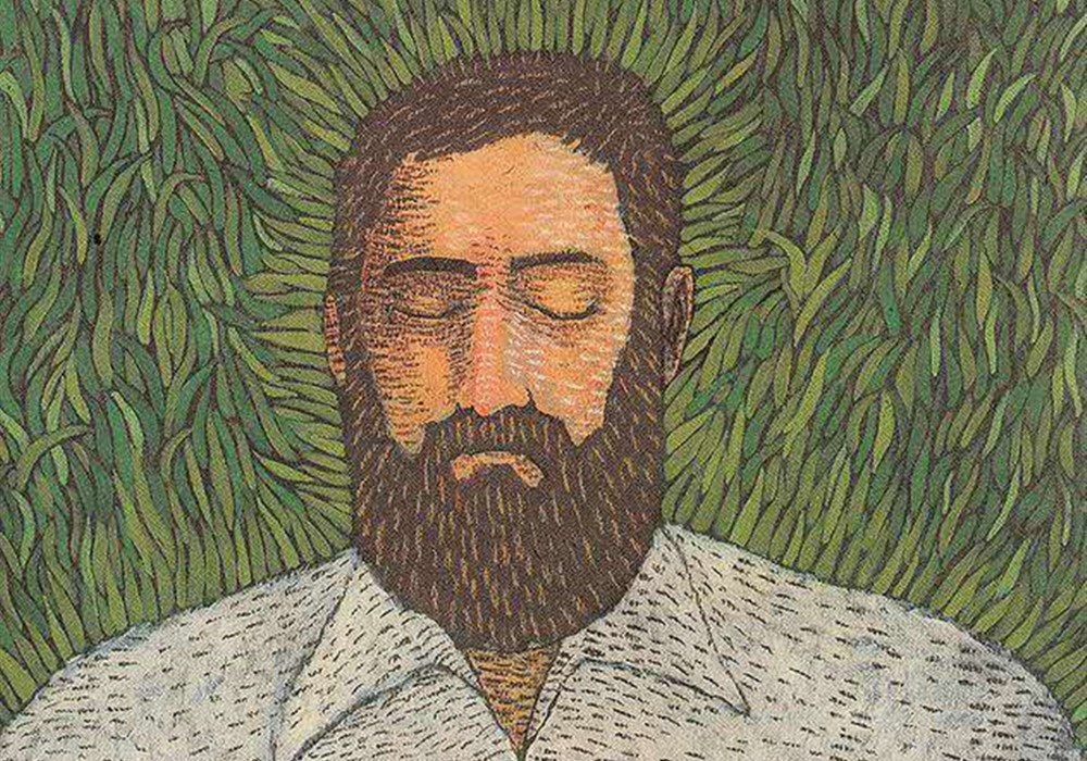 flightlessbird暮光之城舞蹈,暮光之城歌曲flightless纯音乐