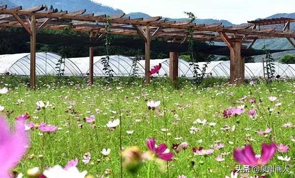 农业农村部推荐景点公示,农业农村部推荐景点