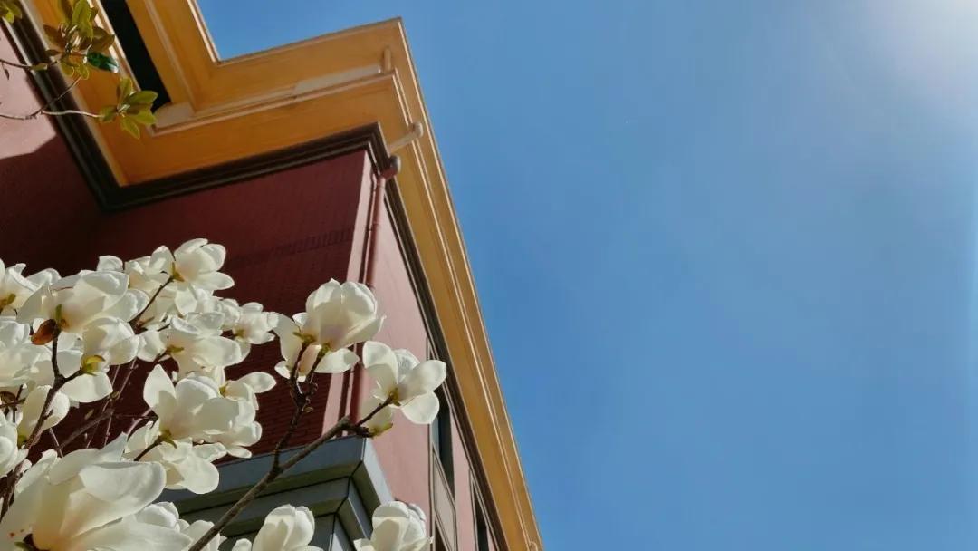 许昌市实验中学招生电话,许昌魏都区实验中学招生公告