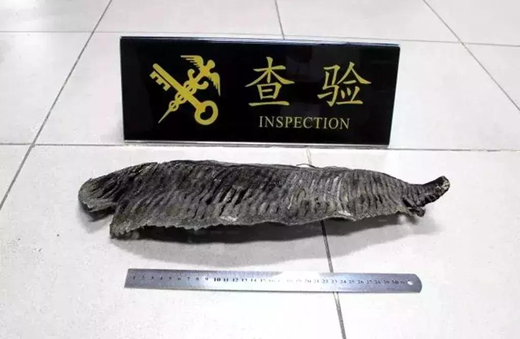 去香港澳门哪些东西不能带,香港澳门出境不能多带的东西