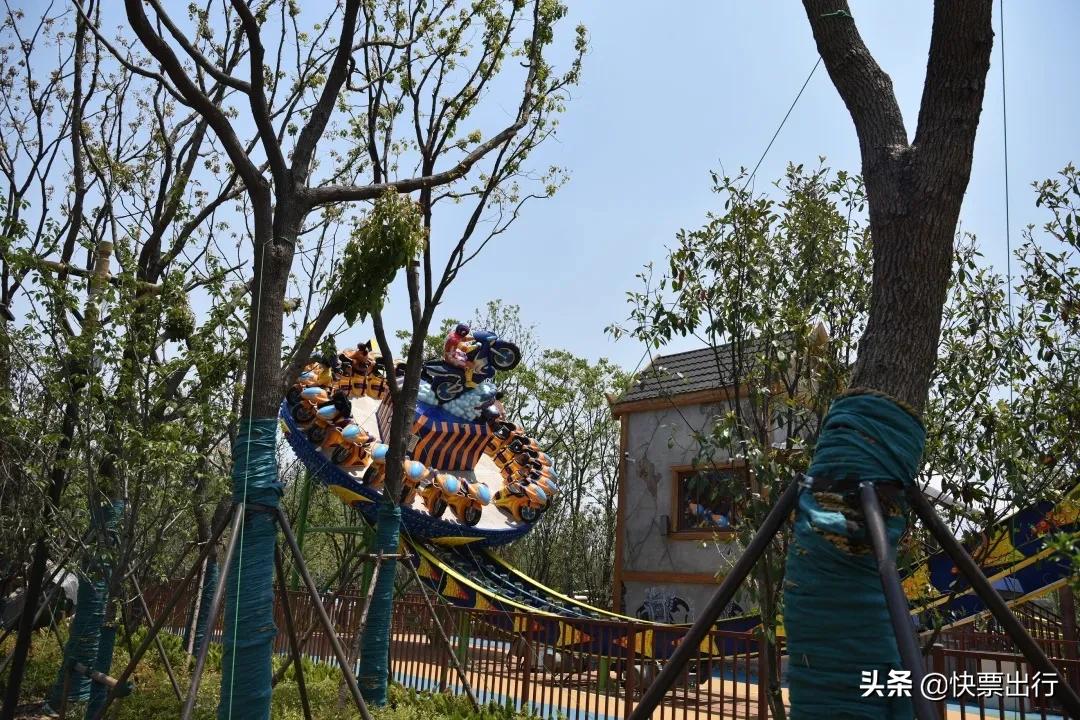 苏州森林世界北纬31度玩的什么,苏州乐园森林世界北纬31度