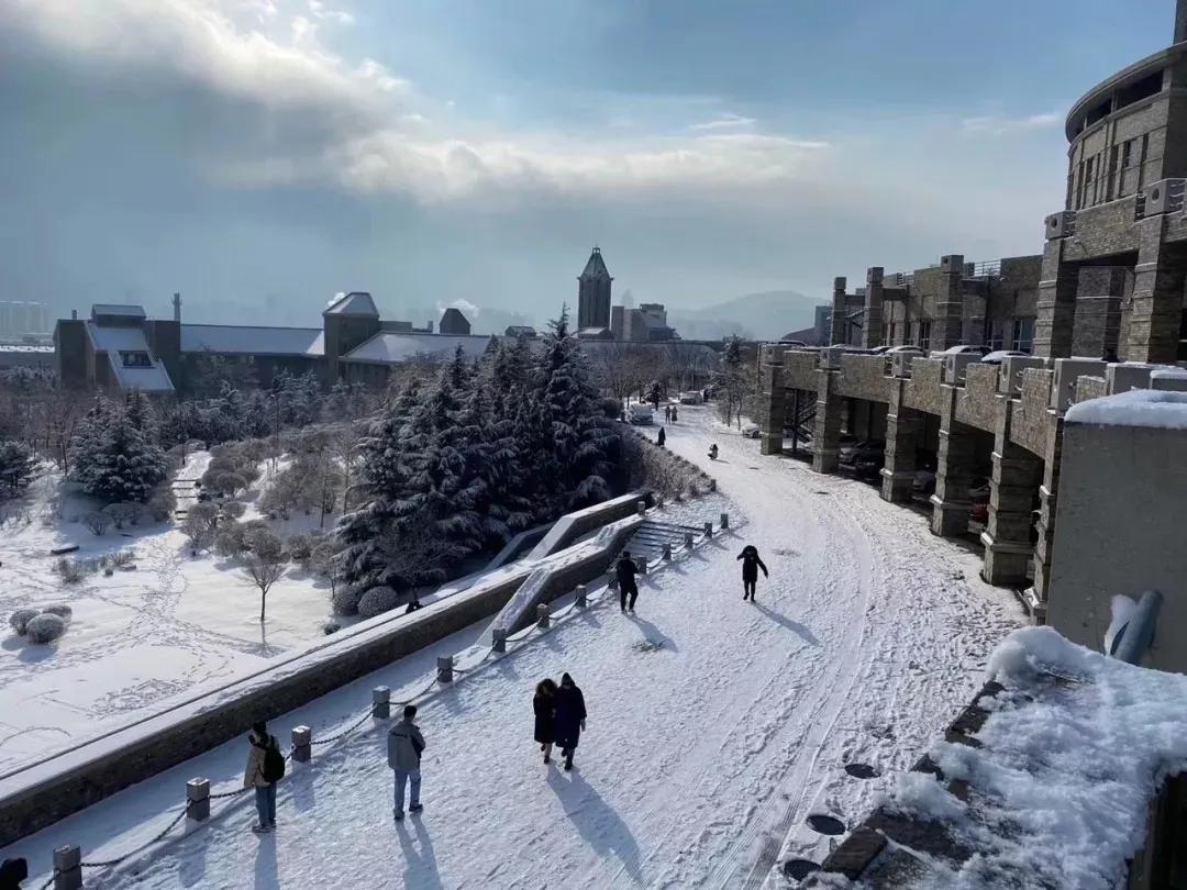 辽宁省民办大学（二）大连东软信息学院