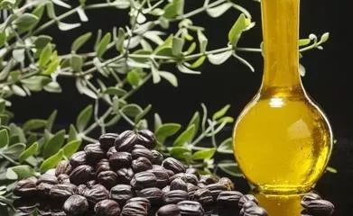 荷荷巴油真的能去黑头粉刺吗,荷荷巴油可以去除黑头么