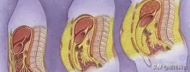 科技之春健康科普,科技之春科普文章