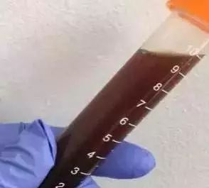 学生体育课深蹲视频,体育课深蹲的女生视频