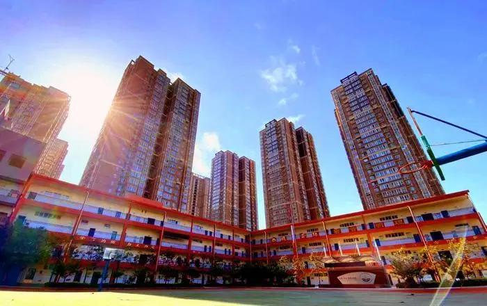 报民校的为何明显减少？家长说：家门口的好学校多了