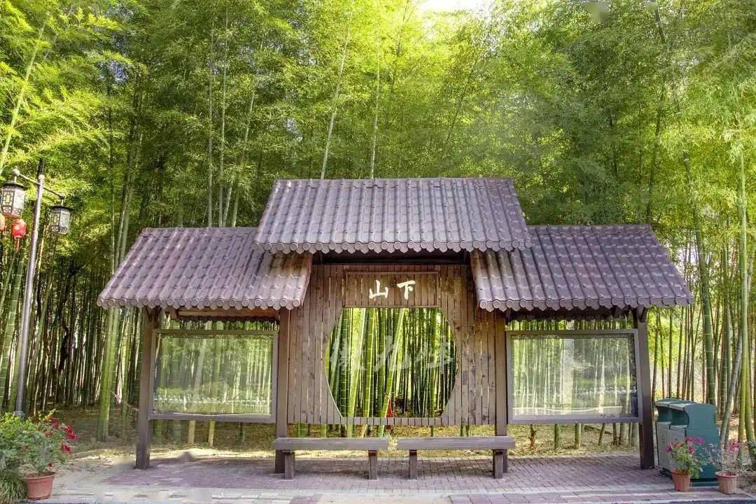 最想去的地方是哪个城市,金华山桃花源