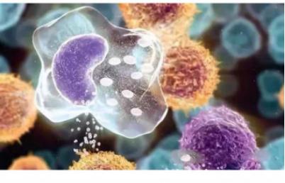 国货界“安耐晒”防晒给力，明星们赞不绝口，能抵御12小时阳光