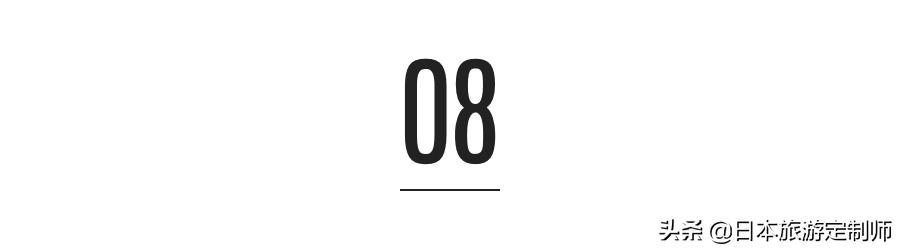 日本最美小景点,日本超美的花海美景