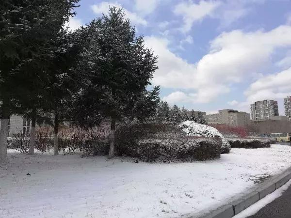 沈阳理工大学辽宁工程技术大学,沈阳理工大学专科院校