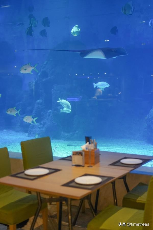 亚龙湾最值得一家人住的酒店,亚龙湾各酒店对比