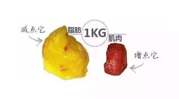 麒麟臂松松垮垮怎么练紧致,人到中年状态更松弛