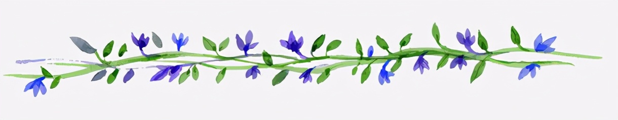 清穿四爷的甜宠文,清穿四爷金手指宠文大全