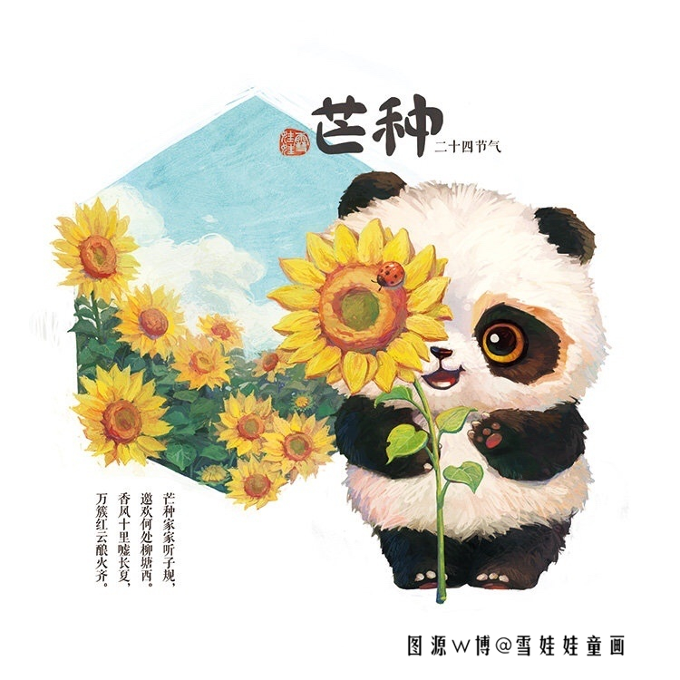 十二节气与大熊猫，“呆萌吃货”实锤了！夏至吃西瓜、清明吃青团