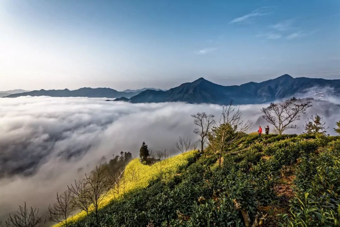 秘境蜘蛛恐惧症任务,破碎之地秘境剧毒蜘蛛怎么打