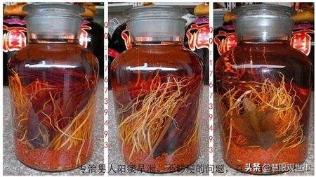 侯卫东官场笔记曲子,侯卫东官场杂记小说